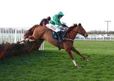 Newark Livestock Market H'cap Hurdle Div 1