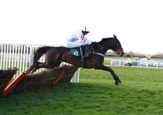 Newark Livestock Market H'cap Hurdle Div 1