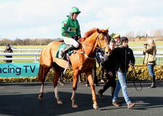 Newark Livestock Market H'cap Hurdle Div 1