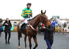 McCoy Contractors Hampton Novices' Chase.