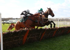 Newark Livestock Market H'cap Hurdle Div 2