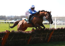 racingtv.com Maiden Hurdle