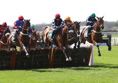 Coventry City Football Club Maiden Hurdle Div 1