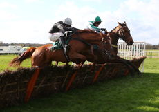 Newark Livestock Market H'cap Hurdle Div 2