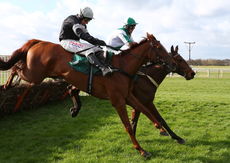 Newark Livestock Market H'cap Hurdle Div 2
