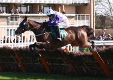 Nationwide Windows and Doors H'cap Hurdle