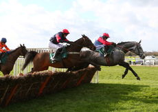 Newark Livestock Market H'cap Hurdle Div 2