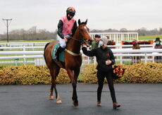 Wigley Group Juvenile Maiden Hurdle