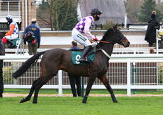 Wigley Group Maiden Hurdle
