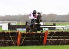 Wigley Group Maiden Hurdle