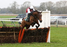 Racing TV Mares' Novices' Hurdle.