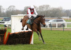 Molly Ollys Wishes (Harry Skelton)