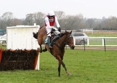 Molly Ollys Wishes (Harry Skelton)