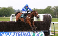 Global Domination (Harry Skelton)
