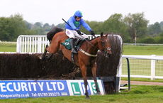 Global Domination (Harry Skelton)