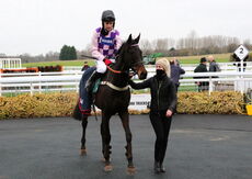Wigley Group Maiden Hurdle