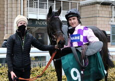 Wigley Group Maiden Hurdle