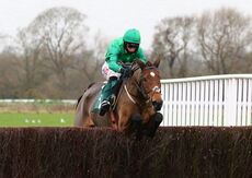 Wigley Group Lady Godiva Mares' Novices' Chase.