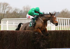 Wigley Group Lady Godiva Mares' Novices' Chase.