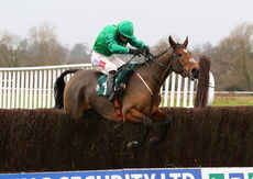 Zambella (Daryl Jacob)