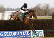 Liberty Bella (Robert Dunne)