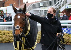 Wigley Group Lady Godiva Mares' Novices' Chase.