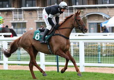Wigley Group Novices' Handicap Chase.
