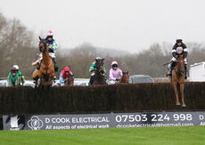 Wigley Group Novices' Handicap Chase.