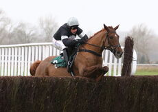Wigley Group Novices' Handicap Chase.