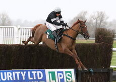 King d'Argent (Harry Skelton)