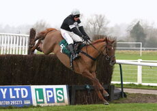 King d'Argent (Harry Skelton)