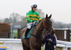 Schiaparelli Willoughby De Broke Hunters Chase.