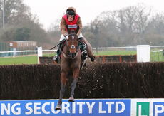 Schiaparelli Willoughby De Broke Hunters Chase.