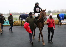Wigley Group Novices' Handicap Chase.