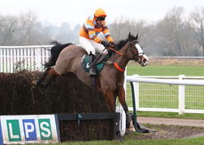 Schiaparelli Willoughby De Broke Hunters Chase.