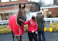 Wigley Group Novices' Handicap Chase.