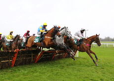 Wigley Group Handicap Hurdle.
