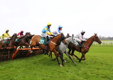 Wigley Group Handicap Hurdle.