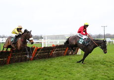 Wigley Group Handicap Hurdle.