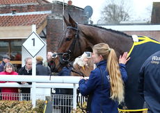 Schiaparelli Willoughby De Broke Hunters Chase.