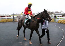 Wigley Group Handicap Hurdle.