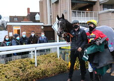 Wigley Group Handicap Hurdle.