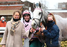 Wigley Group Handicap Chase.
