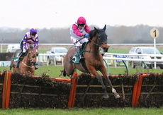 Main Fact (Tom Scudamore)