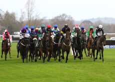 Wigley Group 'NH' Flat Race.