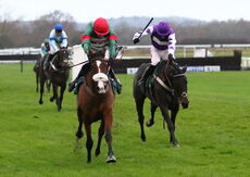 Wigley Group 'NH' Flat Race.
