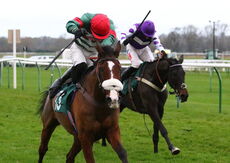 Wigley Group 'NH' Flat Race.