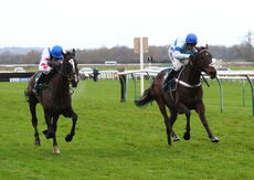 Wigley Group 'NH' Flat Race.