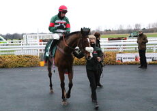 Wigley Group 'NH' Flat Race.