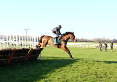 LPS Mares' 'NH' Novices' Hurdle.